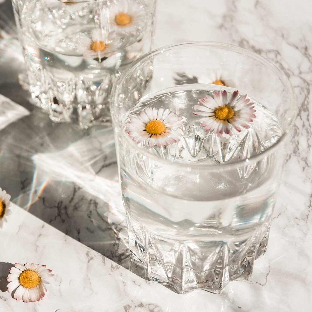 white daisy on clear glass cup